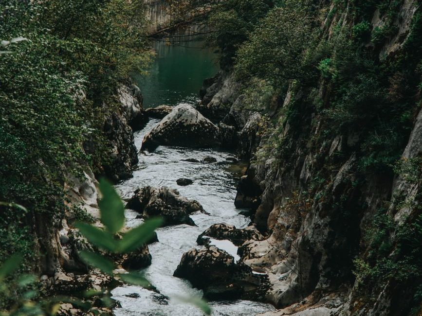 cascade in the middle of the forest